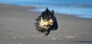 Sikke en weekend
