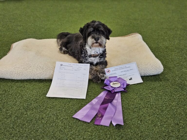 HLT elite bestået med 100 point!