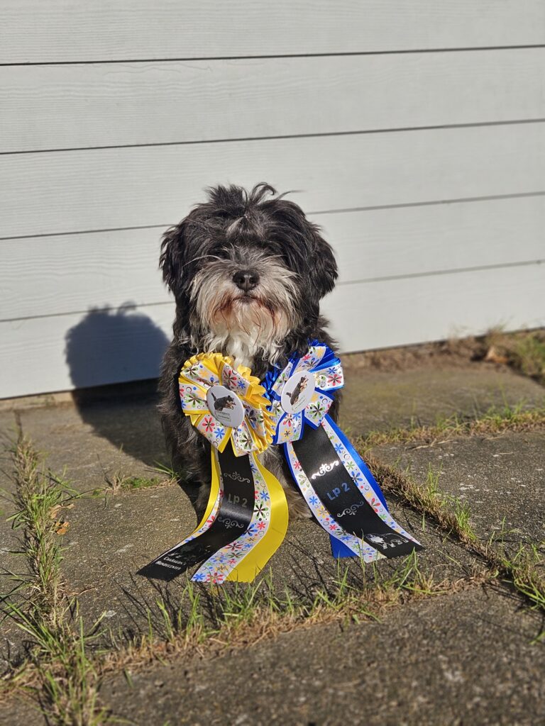 Dobbelt prøve hos Charagon