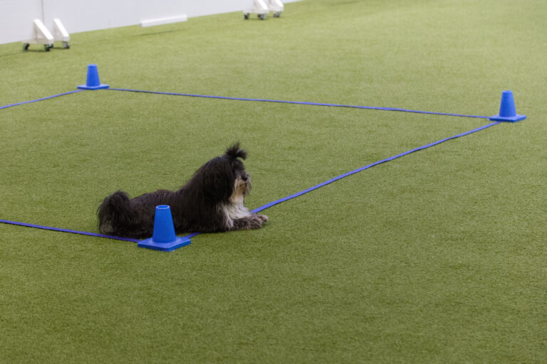 OFFICIEL DEBUT I KLASSE 3