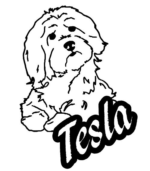 Teslapigen